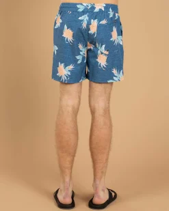 Skylark Arbor Elastic Waist Shorts Blue New
