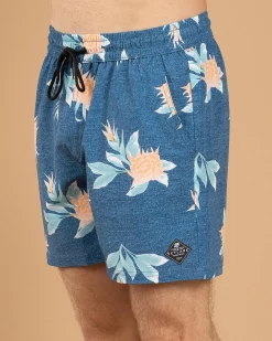 Skylark Arbor Elastic Waist Shorts Blue New