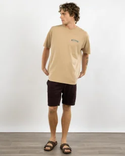 Billabong Arch Wave T-Shirt Hazel Hot