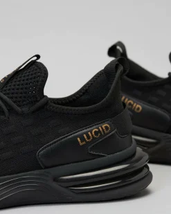 Lucid Ashford Shoes Black/gold Best