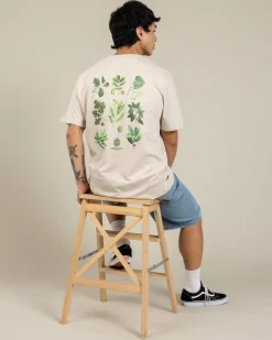 Element Bigfoot Trees T-Shirt Oat Milk Sale