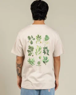 Element Bigfoot Trees T-Shirt Oat Milk Sale