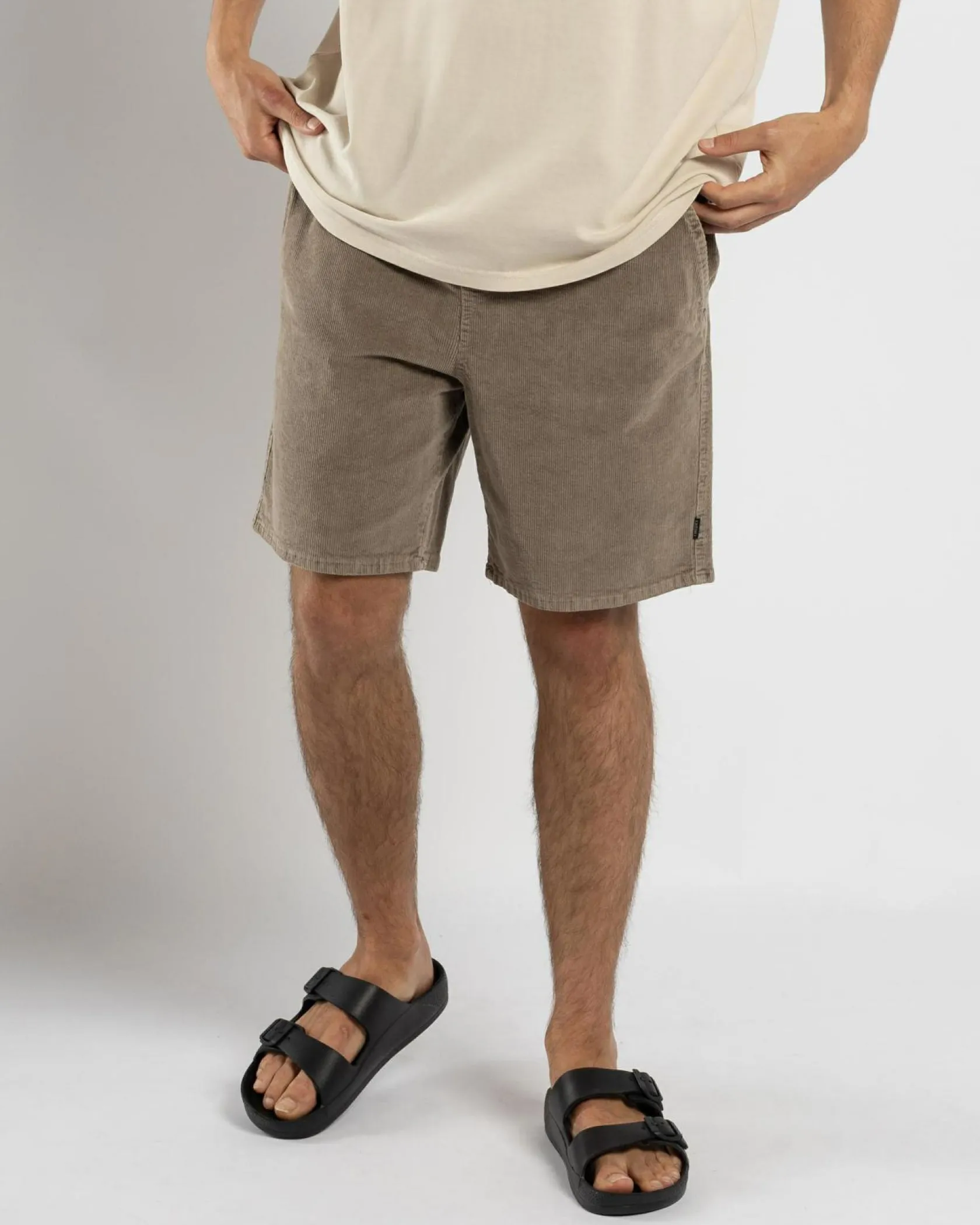 Silent Theory Cord Shorts Mushroom New
