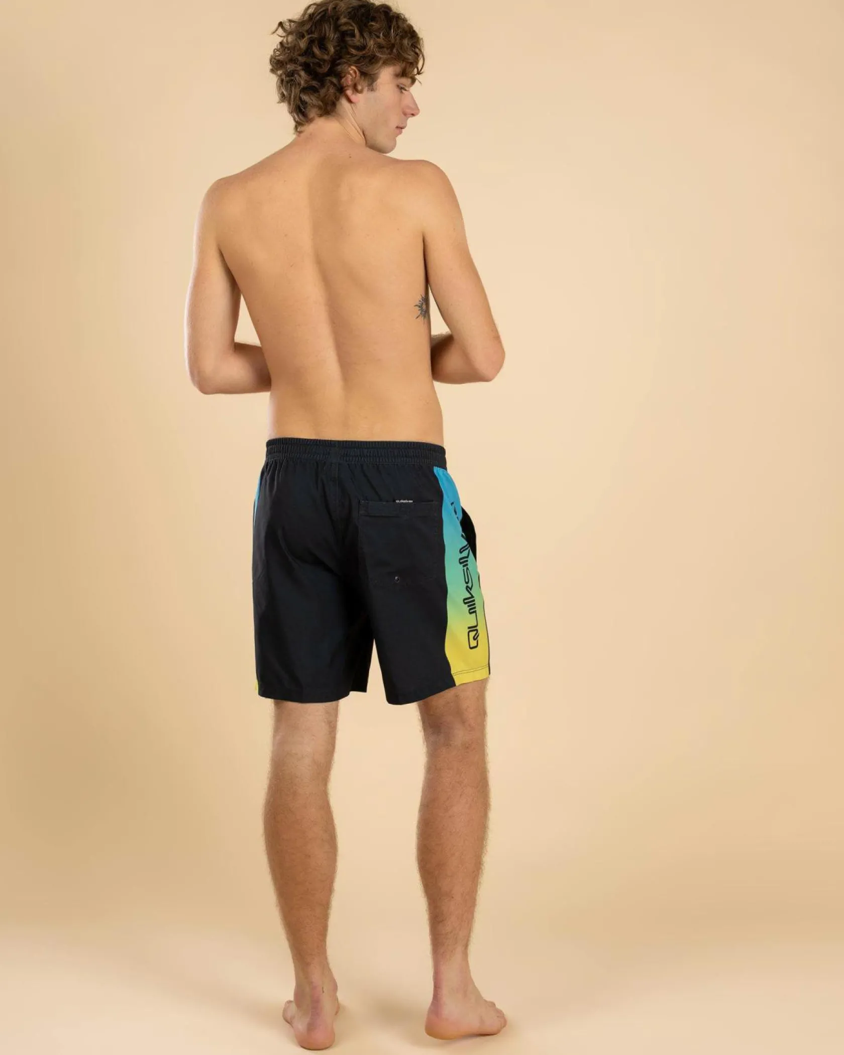 Quiksilver Everyday Holmes Volley 17NB Board Shorts Black Holmes Clearance