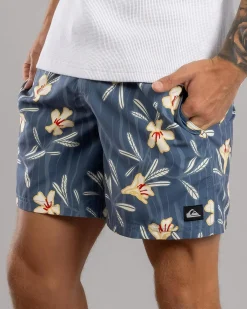 Quiksilver Everyday Straight Volley 17NB Board Shorts China Blue Dusty Floral Online