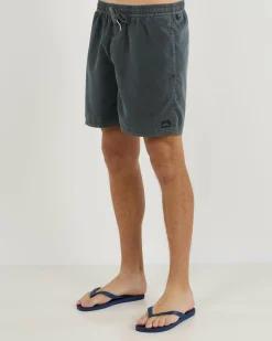 Quiksilver Everyday Surfwash Volley 17" Board Shorts Black Clearance