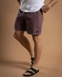 Quiksilver Everyday Surfwash Volley 17" Board Shorts Grape Shake Sale