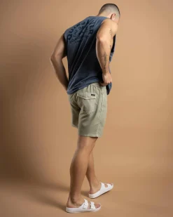 Quiksilver Everyday Surfwash Volley 17" Board Shorts Desert Sage New