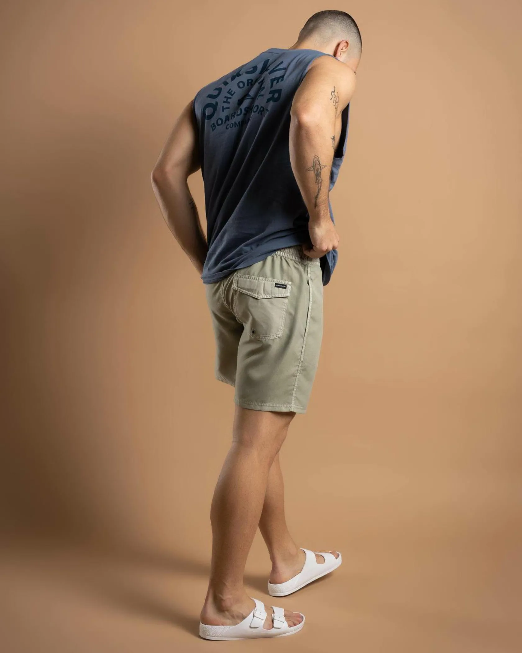 Quiksilver Everyday Surfwash Volley 17" Board Shorts Desert Sage New