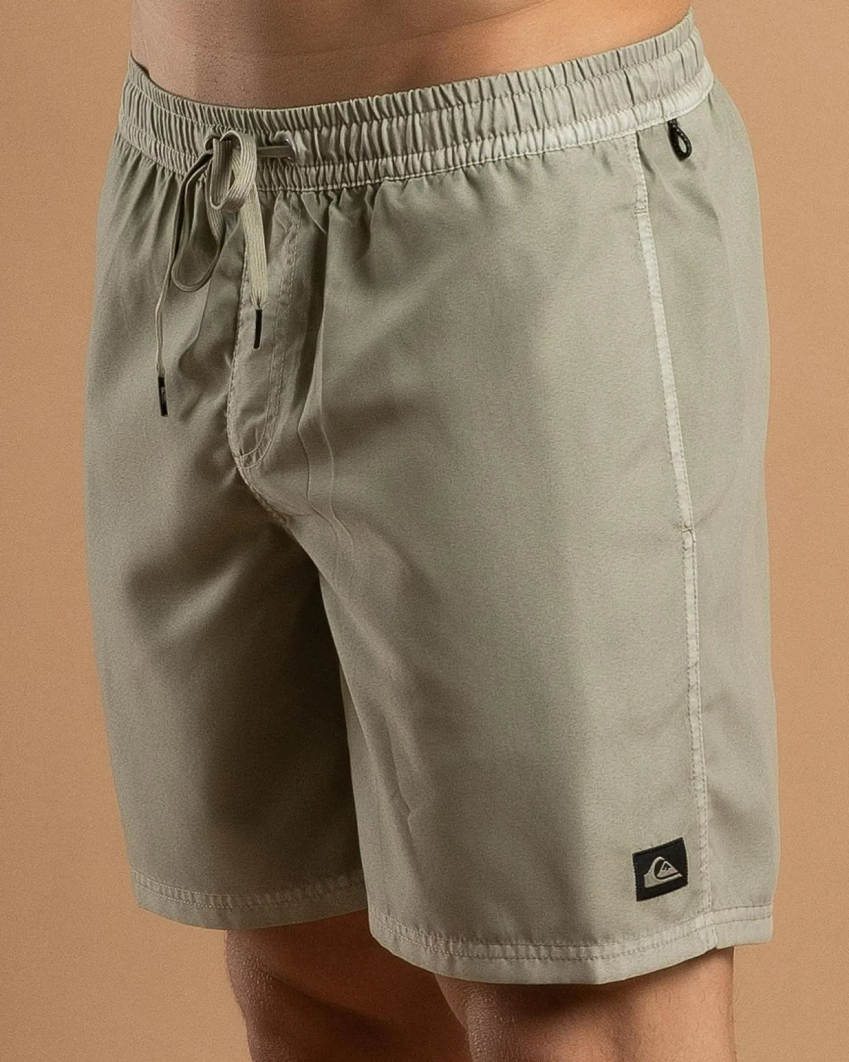 Quiksilver Everyday Surfwash Volley 17" Board Shorts Desert Sage New