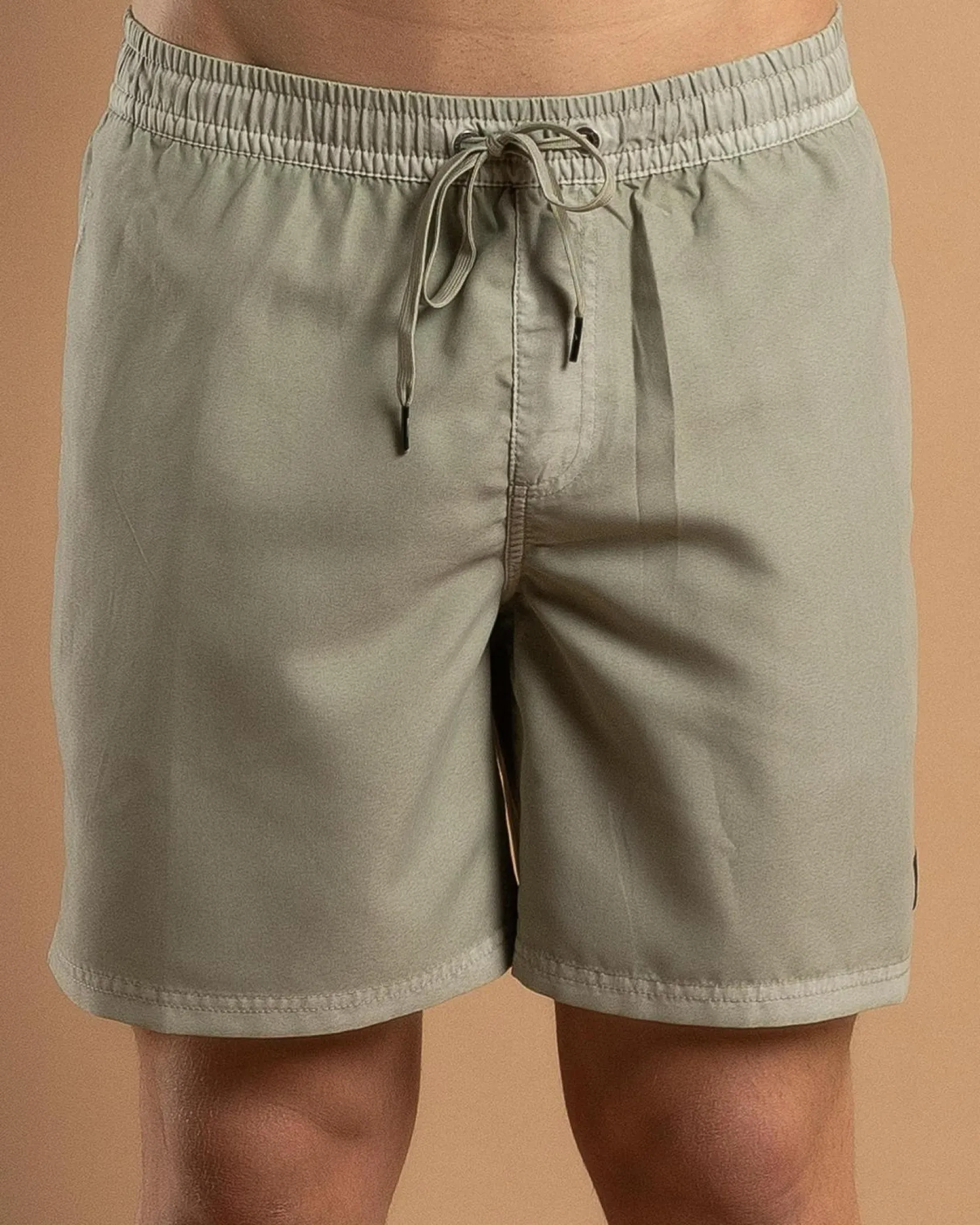 Quiksilver Everyday Surfwash Volley 17" Board Shorts Desert Sage New