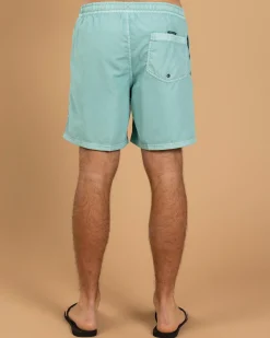 Quiksilver Everyday Surfwash Volley 17 NB Board Shorts Aquifer Hot