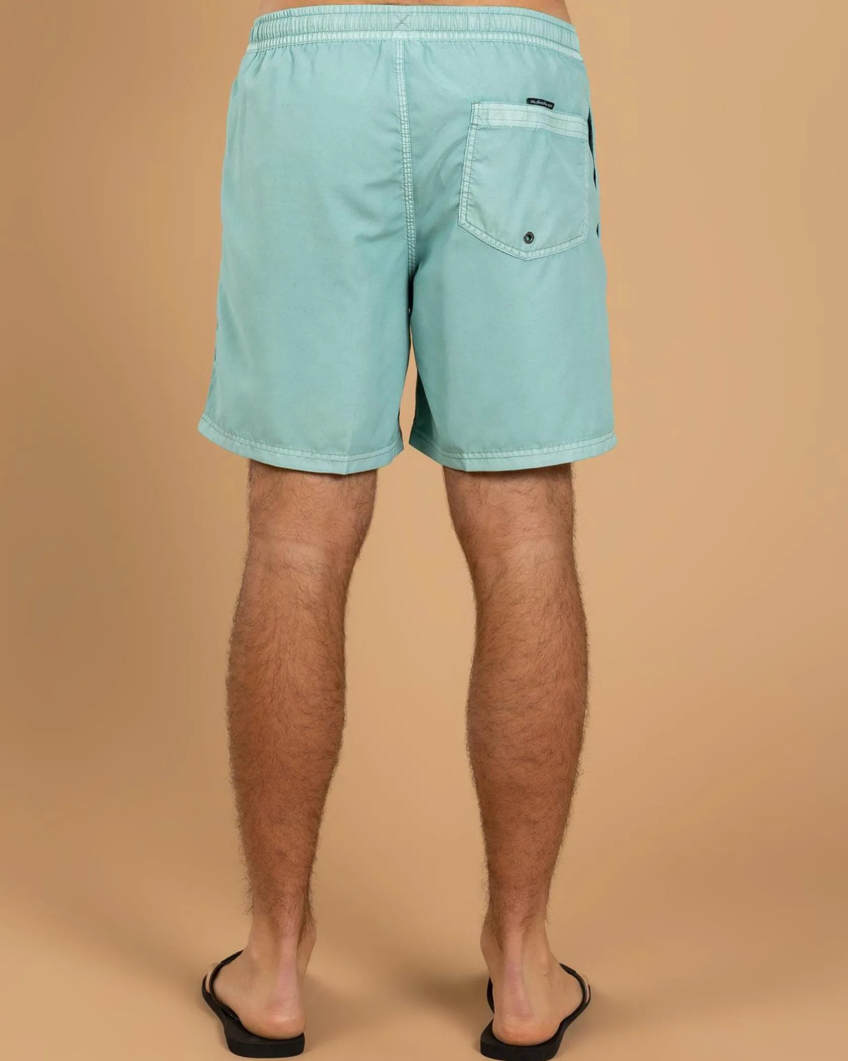Quiksilver Everyday Surfwash Volley 17 NB Board Shorts Aquifer Hot