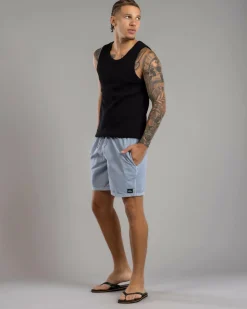 Quiksilver Everyday Surfwash Volley 17 NB Board Shorts Ashley Blue Outlet