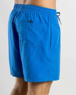 Quiksilver Everyday Vert Volley 2 17