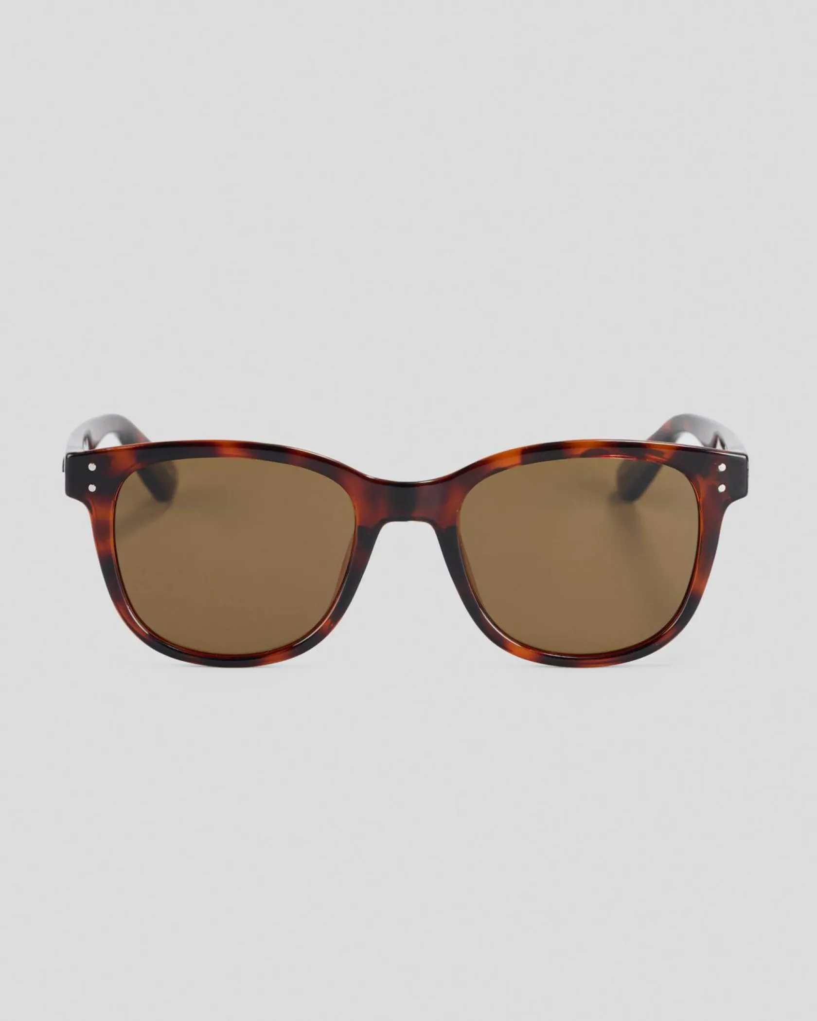 Carve Homeland Polarised Sunglasses Gloss Tort/ Brown Discount