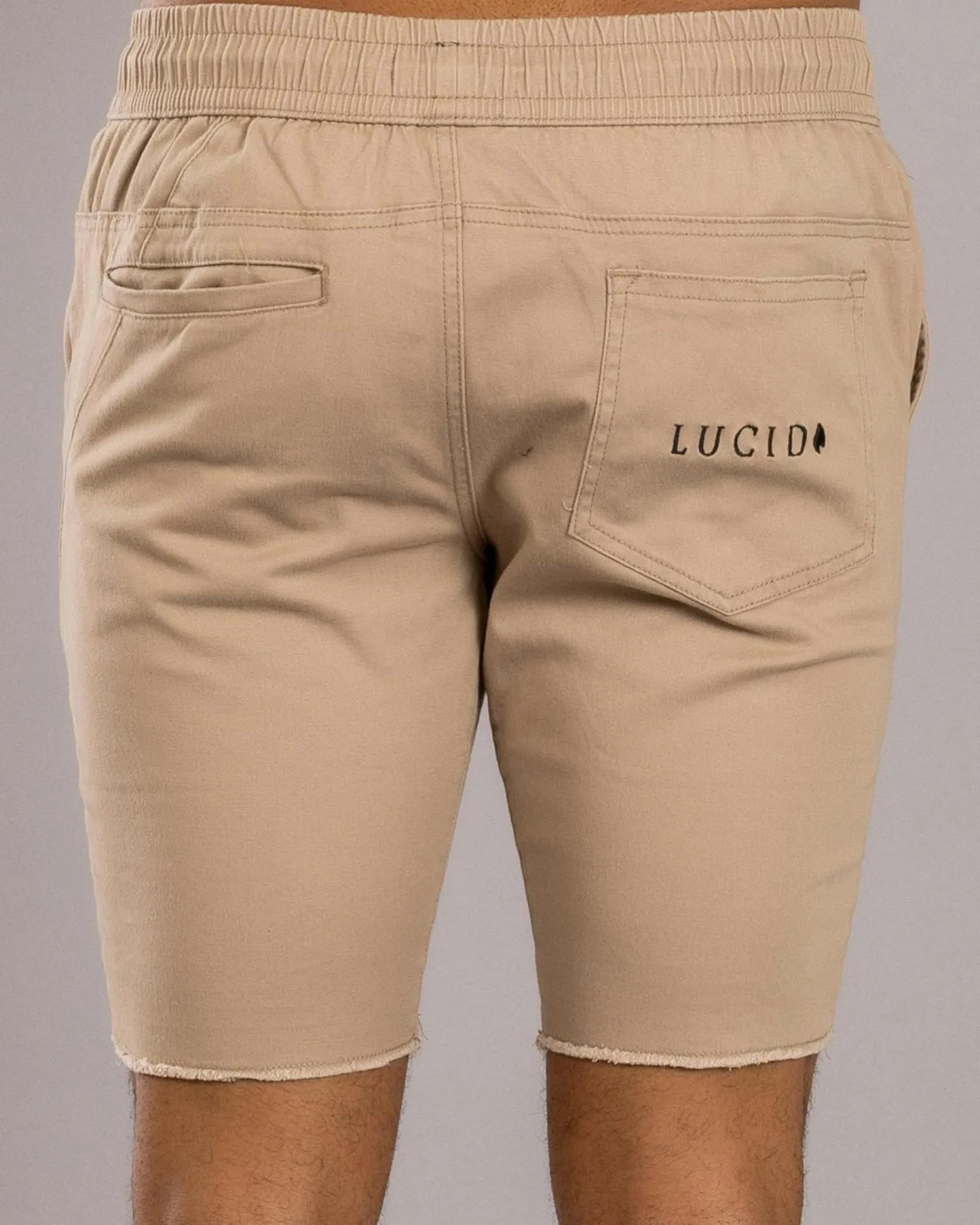 Lucid Laneway Walk Shorts Stone