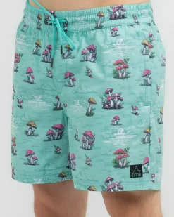 Lucid Organic Elastic Waist Shorts Mint Outlet