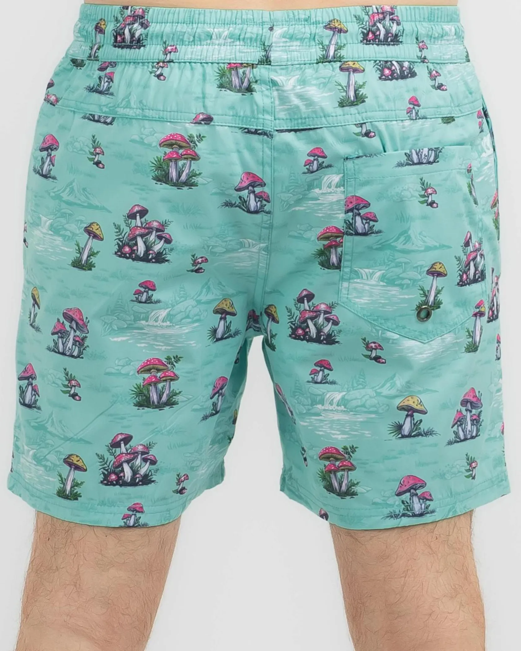 Lucid Organic Elastic Waist Shorts Mint Outlet