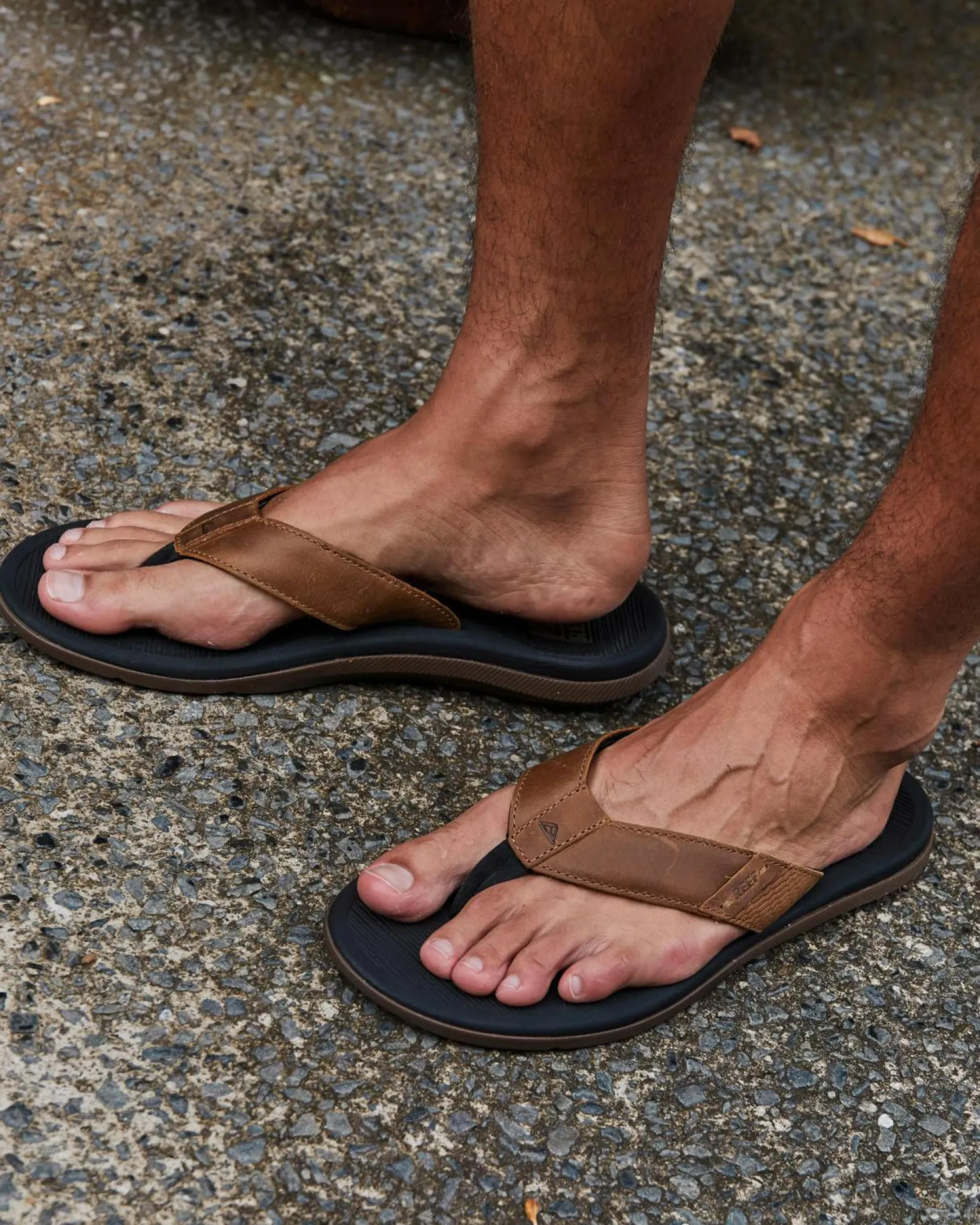 Reef Santa Ana LE Sandals Black/tan Hot