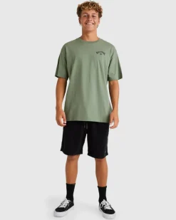 Billabong Team Arch Short Sleeve T-Shirt Fern Hot