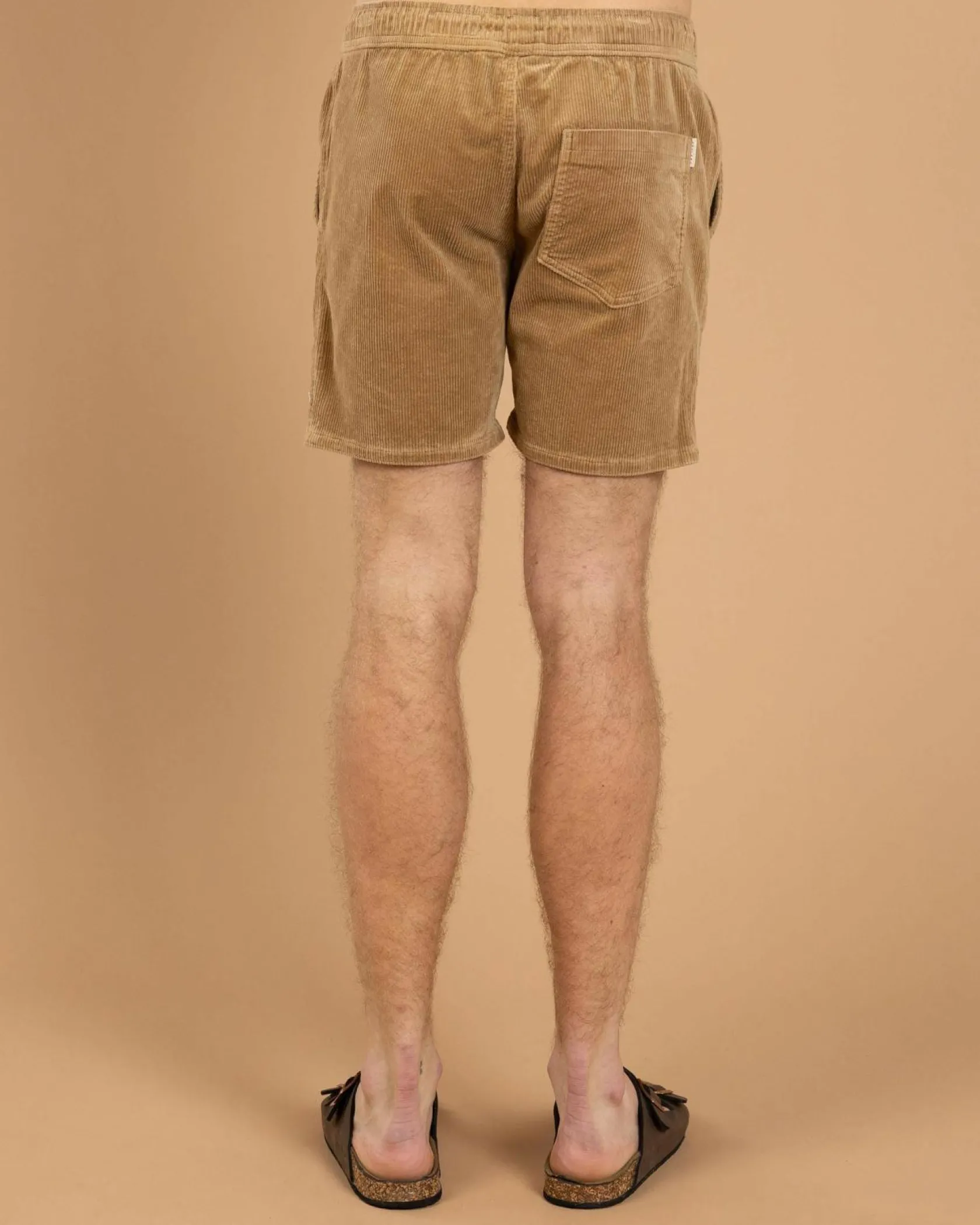 Skylark Tether Elastic Waist Shorts Tan New