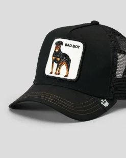 Goorin Bros The Baddest Boy Trucker Cap Black Clearance