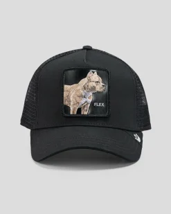 Goorin Bros The Pitbull Trucker Cap Black New