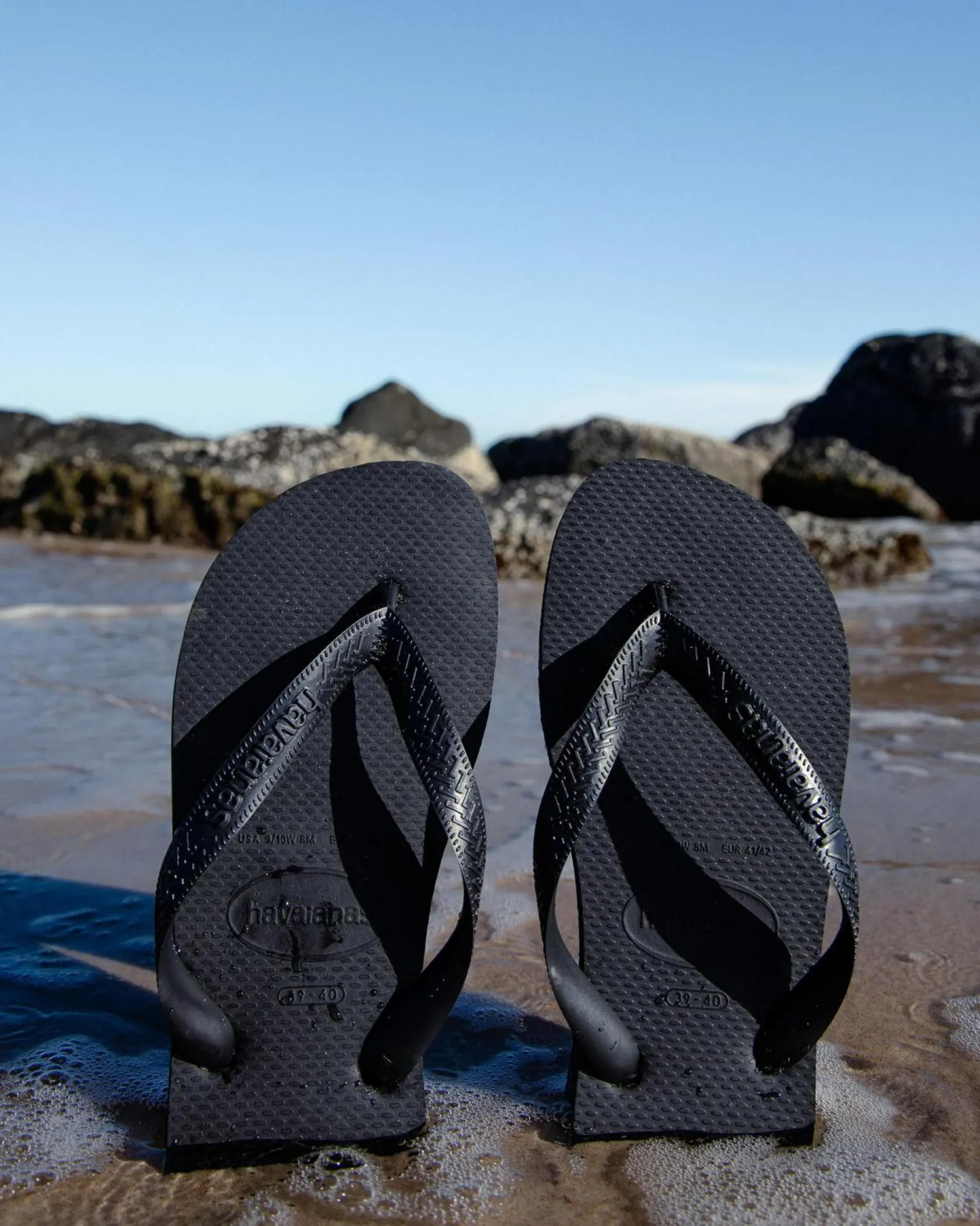Havaianas Top Thongs Black