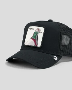 Goorin Bros V2 Pigeon Trucker Cap Black Best