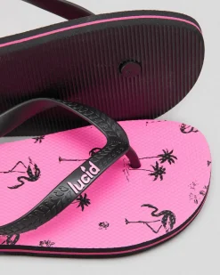 Lucid Voyage Thongs Pink/black New